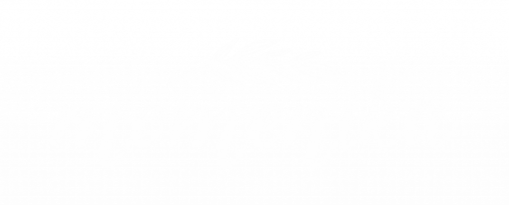 Logo Momenika White